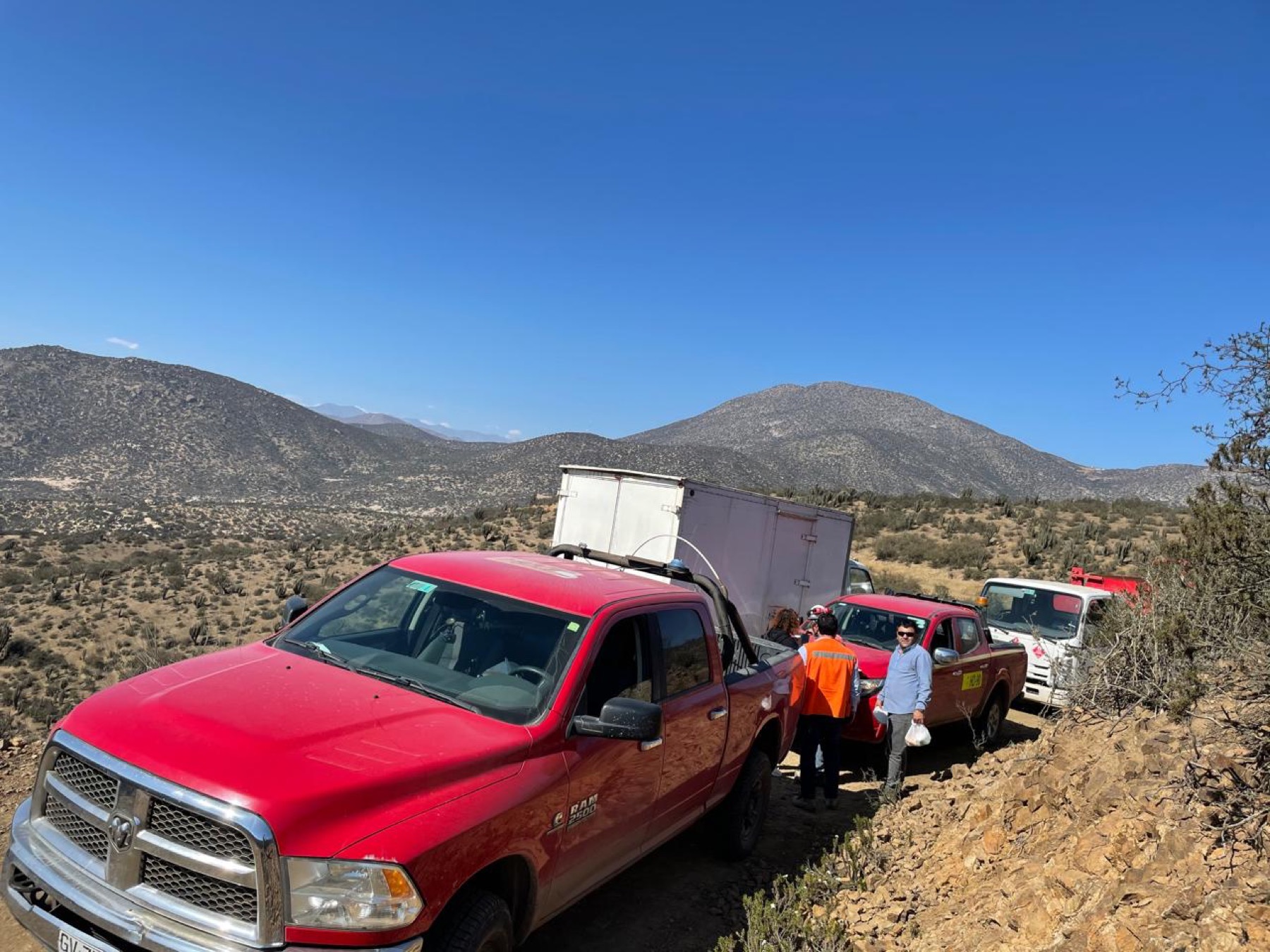 Servicios en terreno